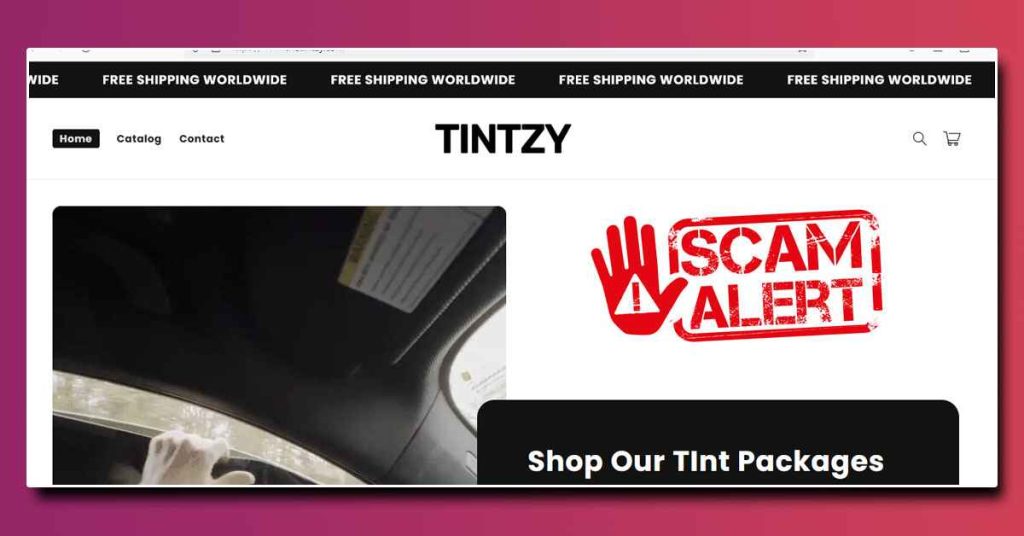 Tintzy scam 
